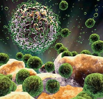 Virus HIV