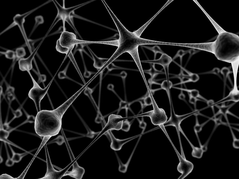 Neurons, photo: Gerard79 / freeimages Neurons, photo: Gerard79 / freeimages
