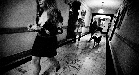 Julia Calfee - 'On their way out'