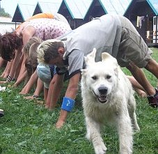 Photo: www.agility-trebon.estranky.cz