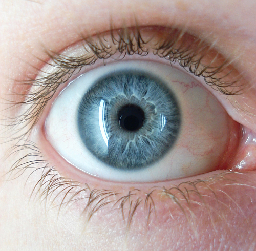 Photo: Wikipedia
