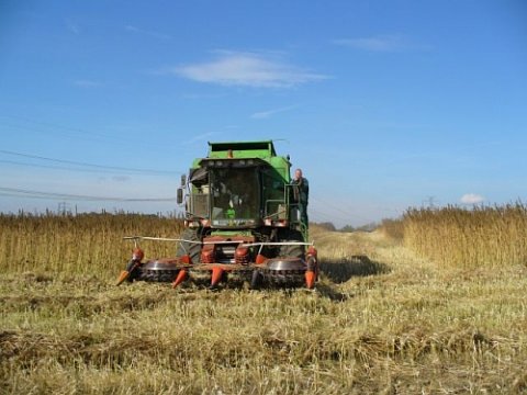 Photo: www.konopa.cz