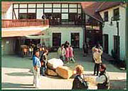 Bunter Markt