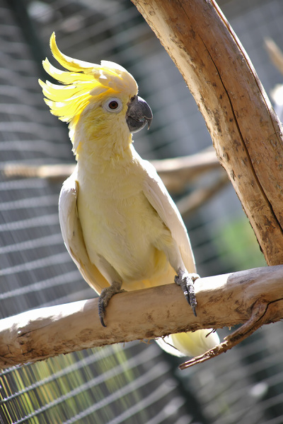 Foto: Archiv zoo v Bošovicích