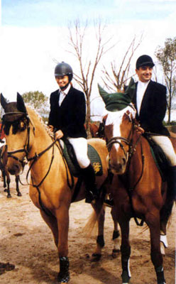 Caballos de Alazán Dorado de Chlumec