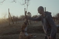 Marek a jeho pes ve filmu Můj pes Killer (Foto: www.mirafox.sk)