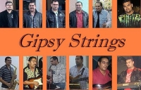 Gipsy Strings (Foto: FB profil skupiny)