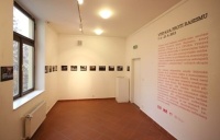 Výstava Proti rasismu v Muzeu romské kultury v Brně (Foto: Muzeum romské kultury)