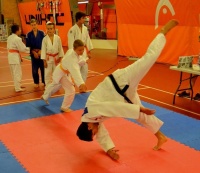 Judo (Foto: www.judoprodeti.cz