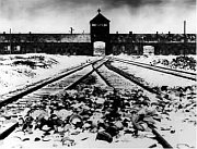 Koncentrační táborv Osvětimi