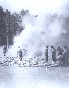 Sonderkommando in Auschwitz-Birkenau
