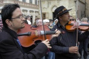 Romští houslisté ze skupiny Nadara (Foto: Jana Šustová)