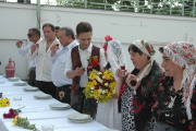 Svatební přípitek (Foto: Jana Šustová)