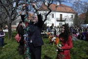 Vázání stužek na strom tolerance, který později uhynul (Foto: Jana Šustová)