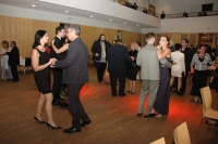 Ples (Ilustrační foto: Jana Šustová)