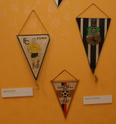 Vlaječky romských sportovních klubů (Foto: Jana Šustová)