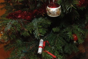 Vánoční stromeček (Foto: Jana Šustová)