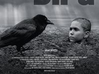 'The Painted Bird'