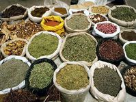 Spices - koření