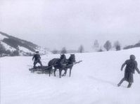 Фото: Дана Киндрова