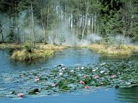 Le lac de Rusalka