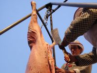 Photo: ISIFA/ VLP/ Atilla Racek
