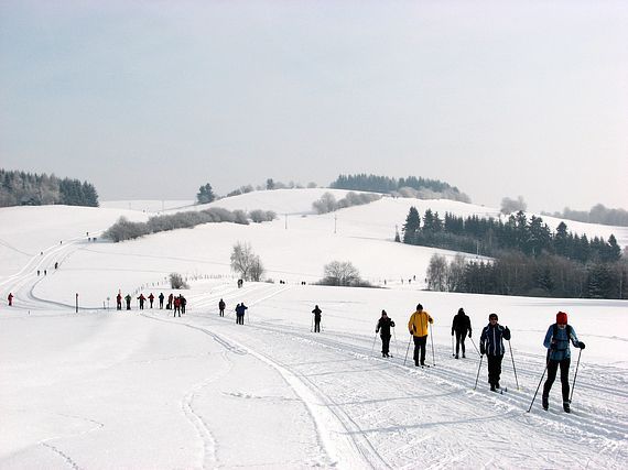 Cross-country skiing in Czechia | Radio Prague International