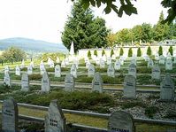 Friedhof Volary - Gräber 95 jüdischer Frauen