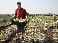 Gleaning, photo: archive of Zachraň jídlo