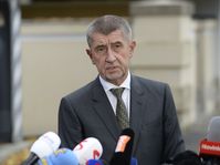 Andrej Babiš (Foto: ČTK)