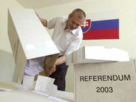 Slovakia's referendum on EU accession, photo: CTK