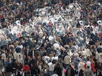 Photo: European Commission