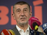 Andrej Babiš (Foto: ČTK)