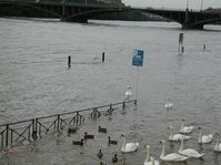 Floods in Prague, 2002