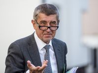 Andrej Babiš, foto: ČTK