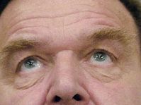 Gerhard Schroeder (Foto: CTK)
