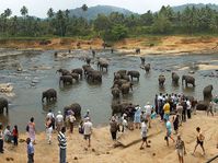 Sri Lanka, photo: public domain