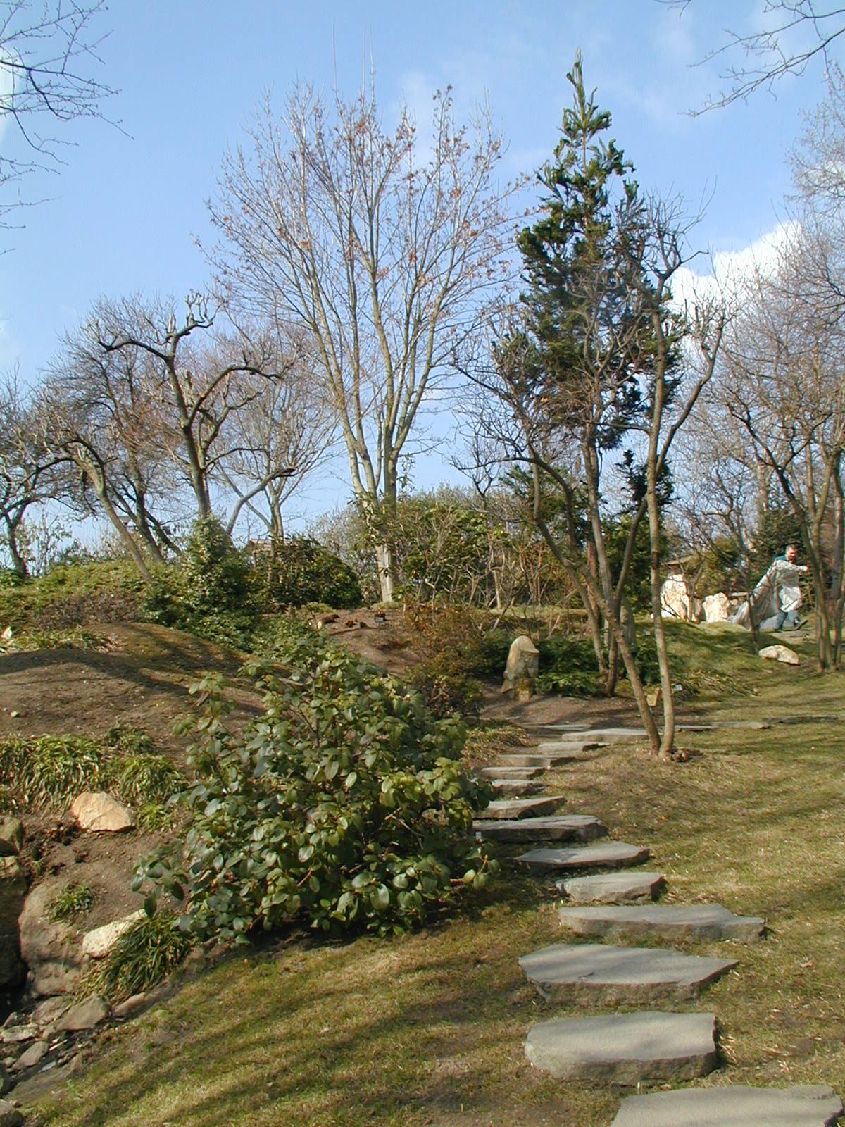 In Troja Bluhen Die Krokusse Botanischer Garten Der Hauptstadt