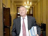Mirek Topolánek (Foto: CTK)