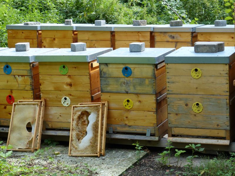 Foto: Klára Stejskalová