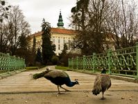 Kroměříž chateau, photo: Vít Pohanka