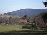 Plešivec
