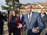 Andrej Babiš (Foto: ČTK)