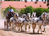La Caballeriza de Kladruby nad Labem, foto: Lubomír Havrda, Wikimedia Commons, CC BY 3.0