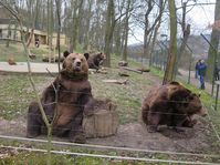 Les ours de Beroun, photo: Vojtěch Ruschka
