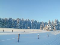 Sumava