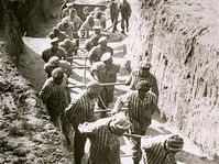 KZ-Häftlinge (Foto: United States Holocaust Memorial Museum)
