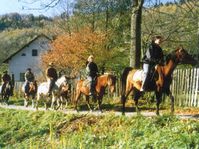 Les randonnes à cheval