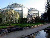 Jardín Botánico de Liberec, foto: Archivo del Jardín Botánico de Liberec