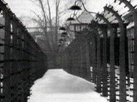 Terezin